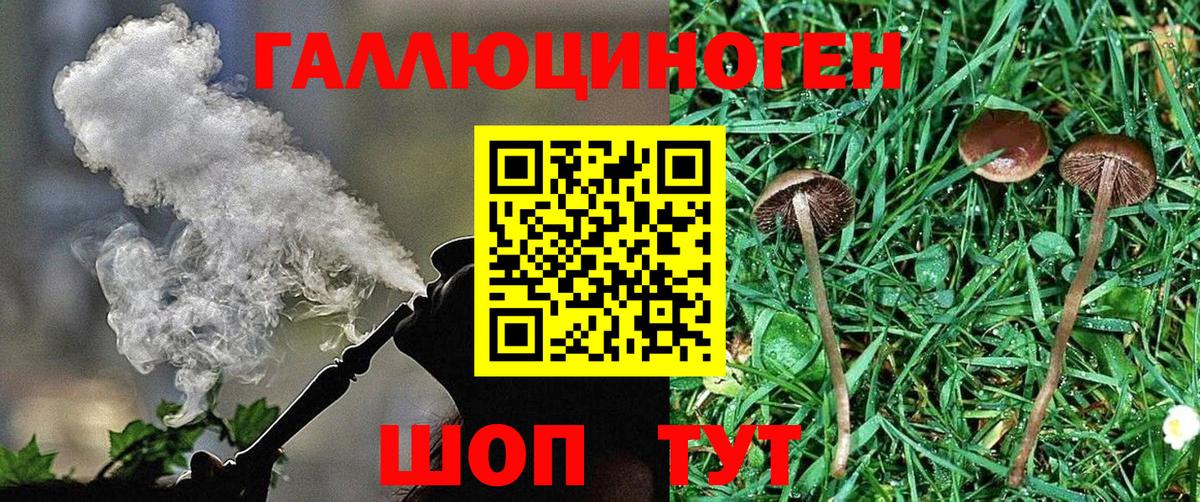 Гагарин  Псилоцибиновые грибы прущие грибы  сколько стоит  Вход с VPN 